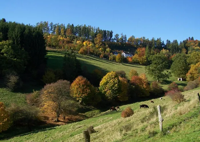 Sonnenpfad Lägenhet Schmallenberg