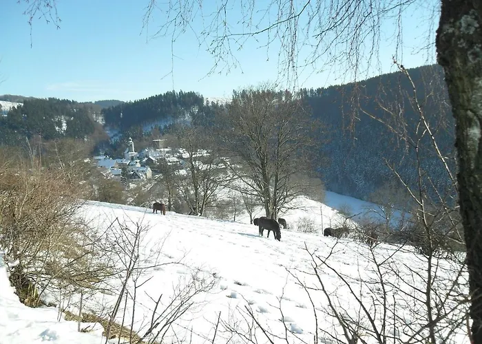 Lägenhet Sonnenpfad *