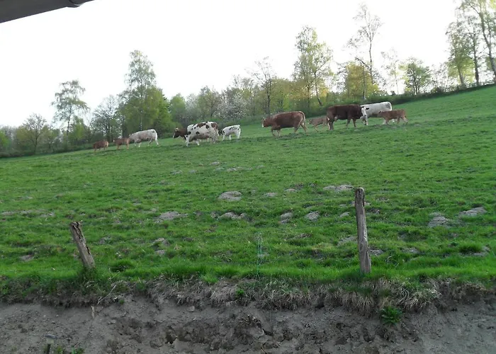 Apartment Sonnenpfad